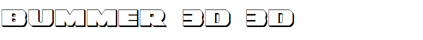 Bummer 3D 3D