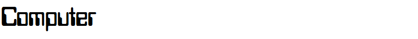 Computer