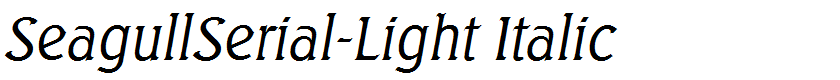 SeagullSerial-Light Italic